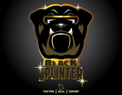 Black Splinter