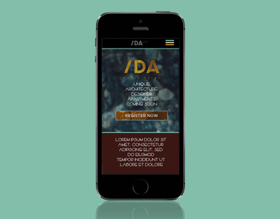 IDA Potts Point responsive website