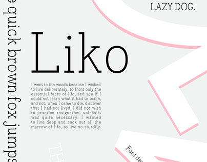 Liko: Monoweight Slab Serif