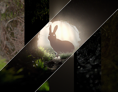 3D Animated Intro for Rabbit Hole Production