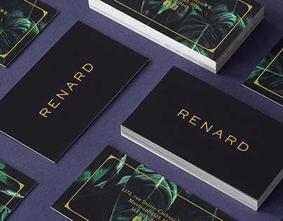 Renard - Brand identity