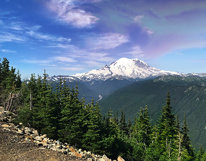 Mount Rainier Landscape