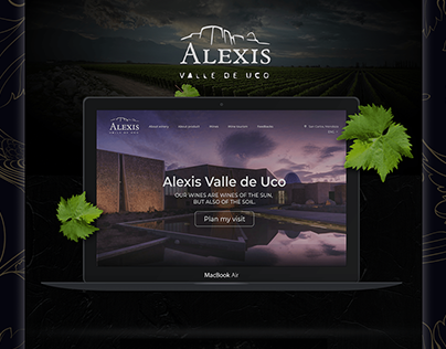 Alexis Valle De Uco, winery website design