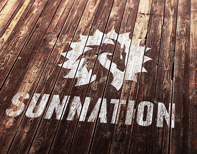 NGO Sunnation | Logo Design