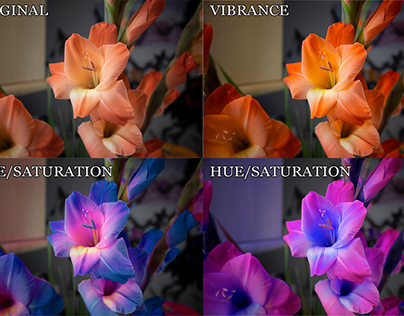 Changing Image by using Vibrance and Hue/Saturation