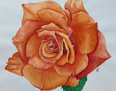 flower drawing by gouache colors