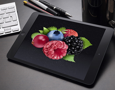berries illustration - realism and sketch
