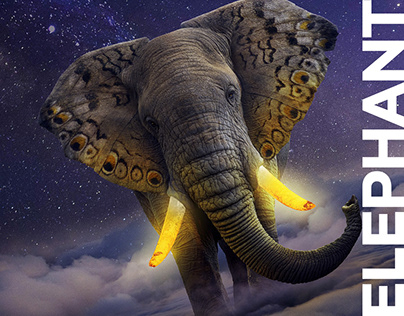 Matte Painting - Elephant
