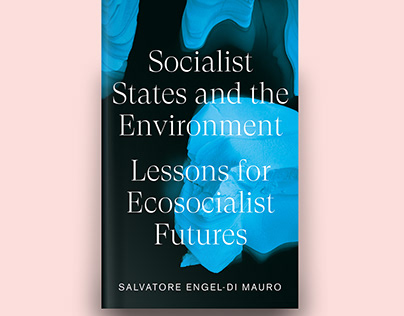 Socialist States and the Environment book cover