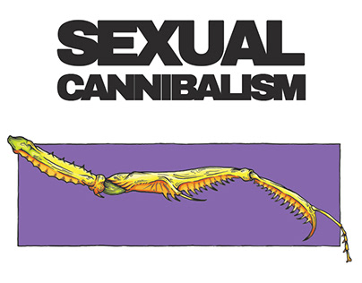 Sexual Cannibalism