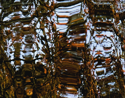 reflection, abstract