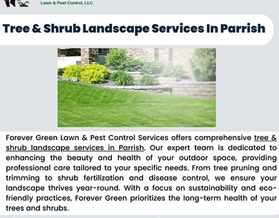 Enhance Your Outdoor Space with Tree & Shrub Landscape