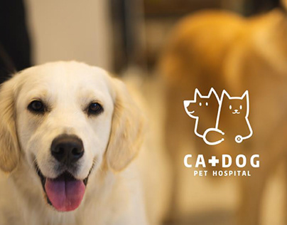卡嗲 catdog 宠物医疗