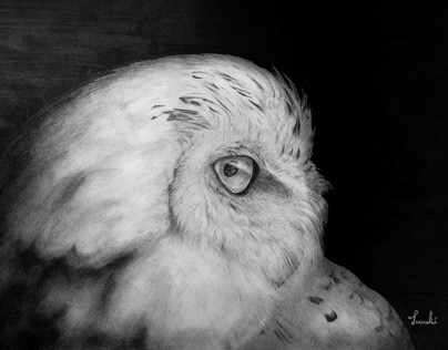 Mixed media - Snowy owl