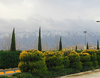 Shiraz - Iran