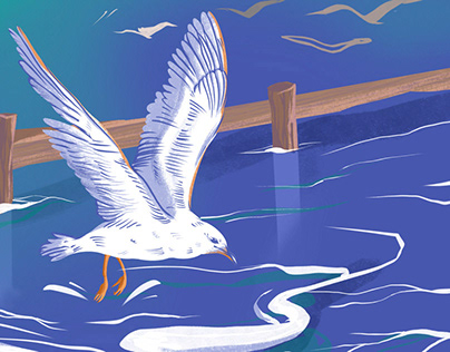 Book illustration “Jonathan Livingston Seagull”