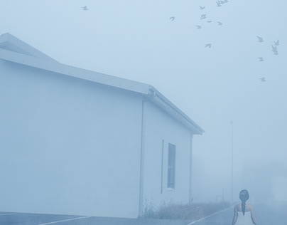 Dans le Brouillard/In the fog