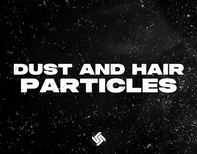 Dust and Hair Particles