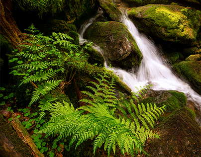 Waterfalls in National Park Šumava