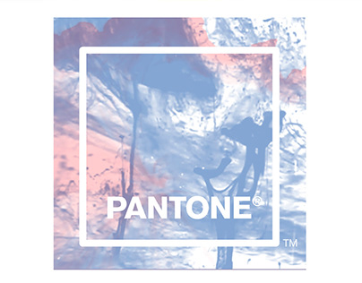 Pantone style - 09/2016