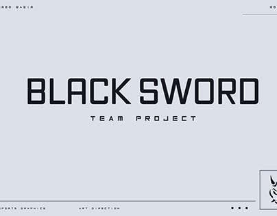 BLACK SWORD PROJCET