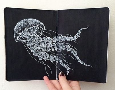 Sea Life Sketchbook