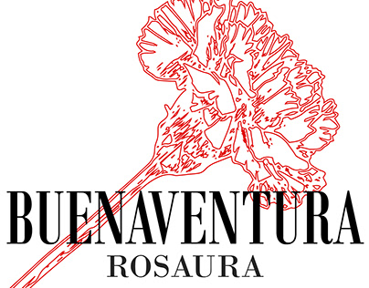 Buenaventura-Identidad de marca completa