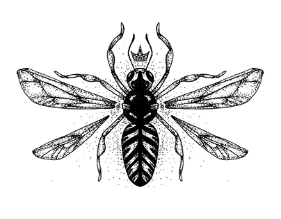 Dotwork Insects