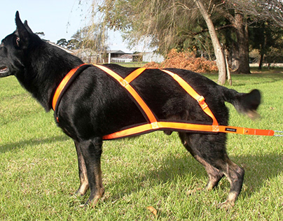 Weight Pulling Harness for dogs