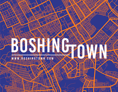 BOSHINGTOWN Poster - A Photographic Collective Project