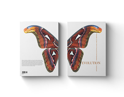 Book Redesign: evolution