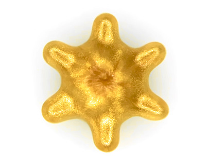 Cymatic Christmas Star