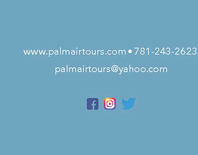 Palm air tours business card back