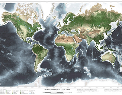 World Land Cover