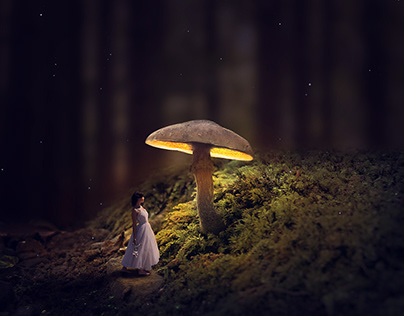 Photo Manipulation - Glowing Mushroom