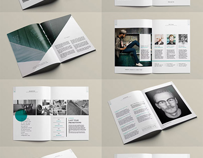 Professional Annual Report Template INDD, IDML