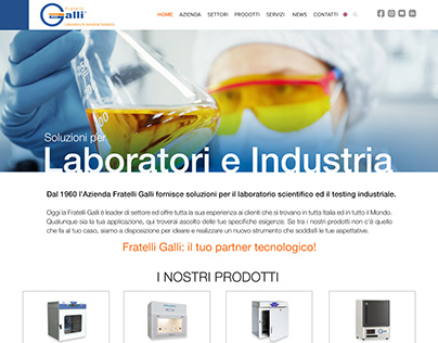 Design grafico sito internet Fratelli Galli