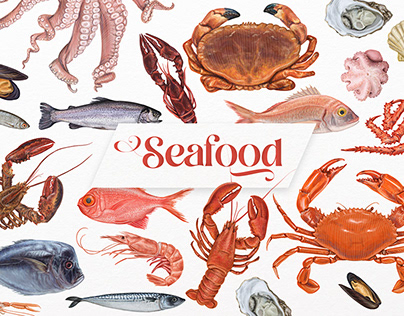Project thumbnail - Seafood vector illustrations.