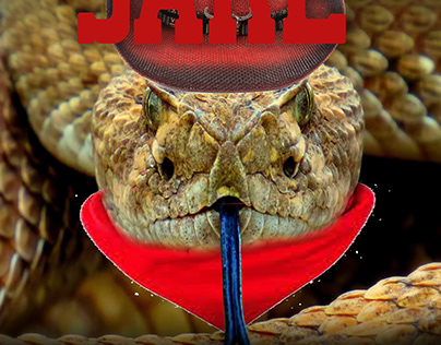 Rattle snake Jake Movie Poster