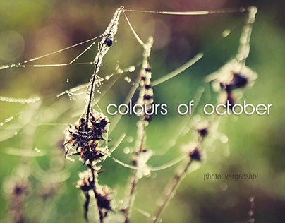 colours of october