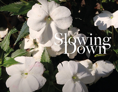 Slowing Down - Video Project