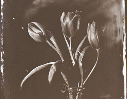 Wet plate collodion glass ambrotypes