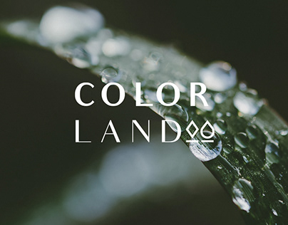 Color Land/Life - Brand Development