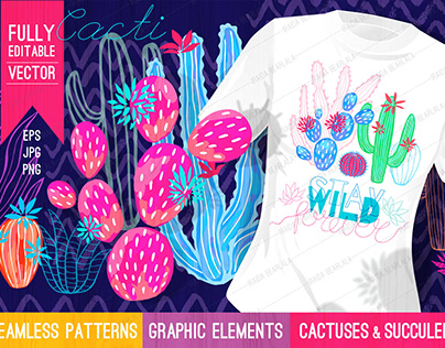 Cactuses and Succulents Collection Vector