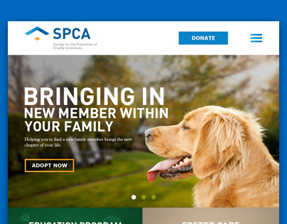 SPCA Logo & Website Redesign