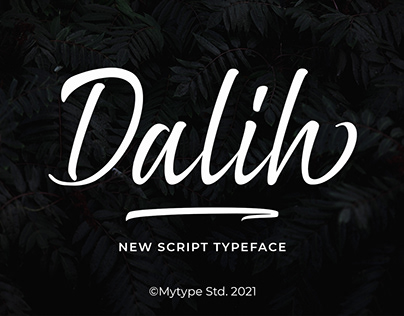 Dalih - Script Typeface