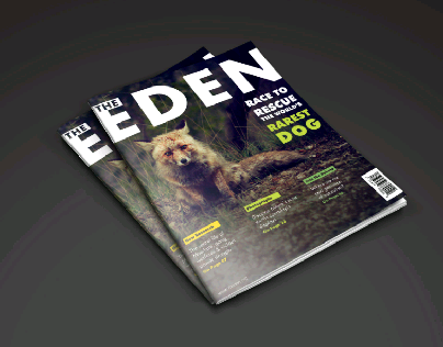 Wildlife Magazine - Book Cover