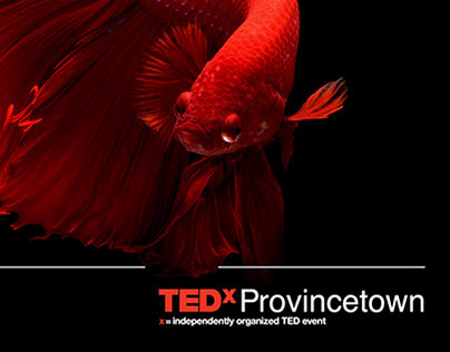 TEDxProvincetown Social Media