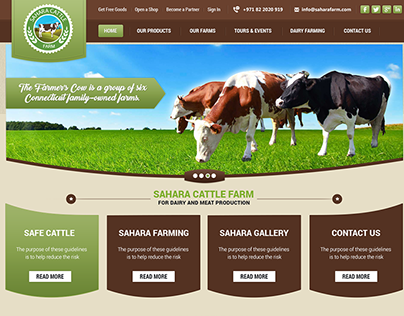 Sahara Cattle Farm