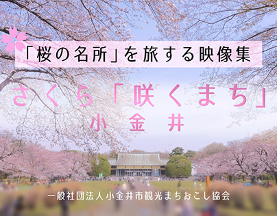 "Best cherry blossom city in Tokyo" Video